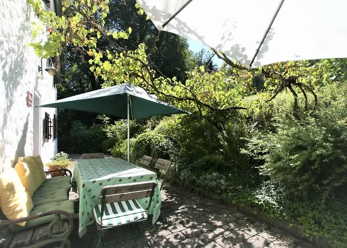 Vogelhuette By Interhome Ferienhaus *