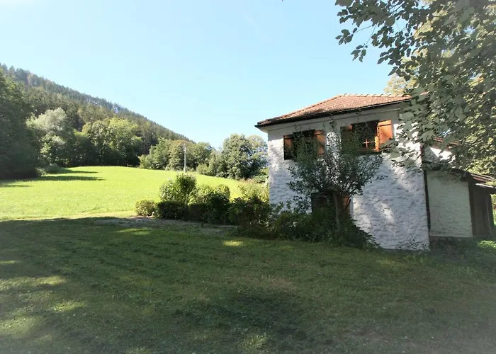 Ferienhaus Vogelhuette By Interhome